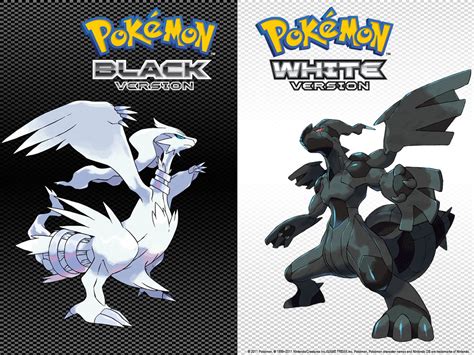 Pokémon Black Version and Pokémon White Version.